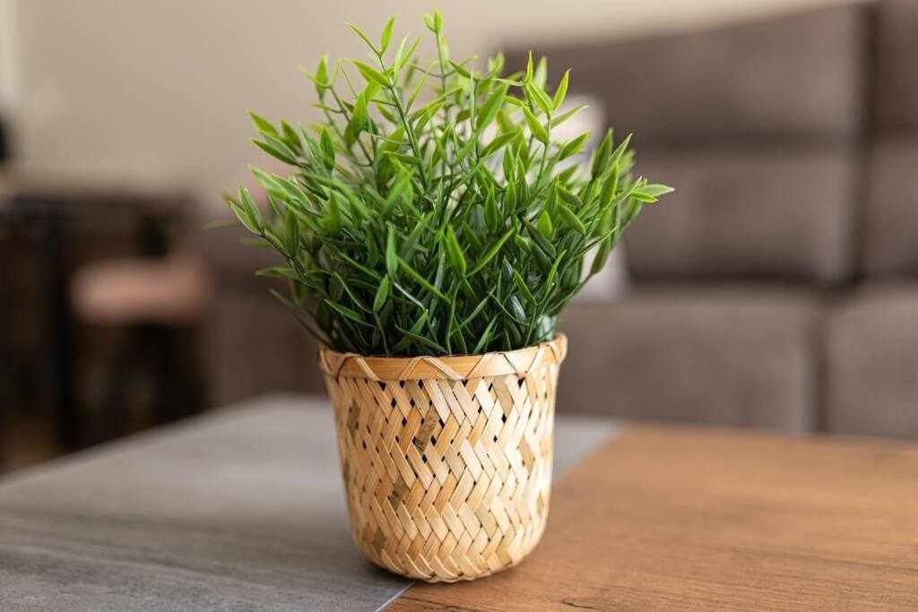 Coimbra Etxea Precioso Piso Recien Estrenado Apartment Bermeo Ngoại thất bức ảnh